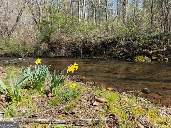 $310,000 | 1162 Blacks Creek Drive, Rabun Gap, GA 30568