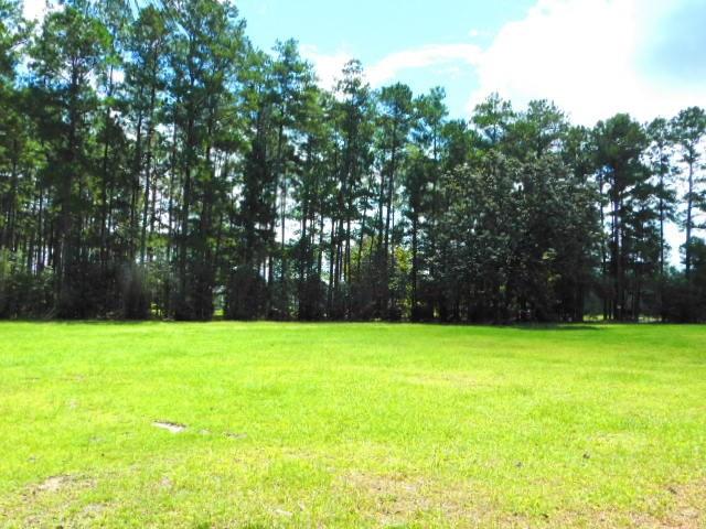 68192 Deer Run Road Pearl River, LA 70452 - Photo 20 of 23 Gallery Image 20