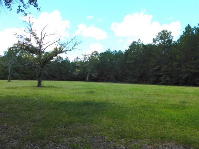 68192 Deer Run Road Pearl River, LA 70452 - Photo 22 of 23 Gallery Image 22