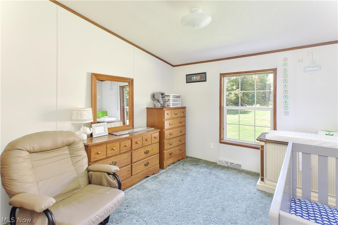 610 Mahoning Trumbull County Line Road Mineral Ridge, OH 44440 - Photo 16 of 23 Gallery Image 16