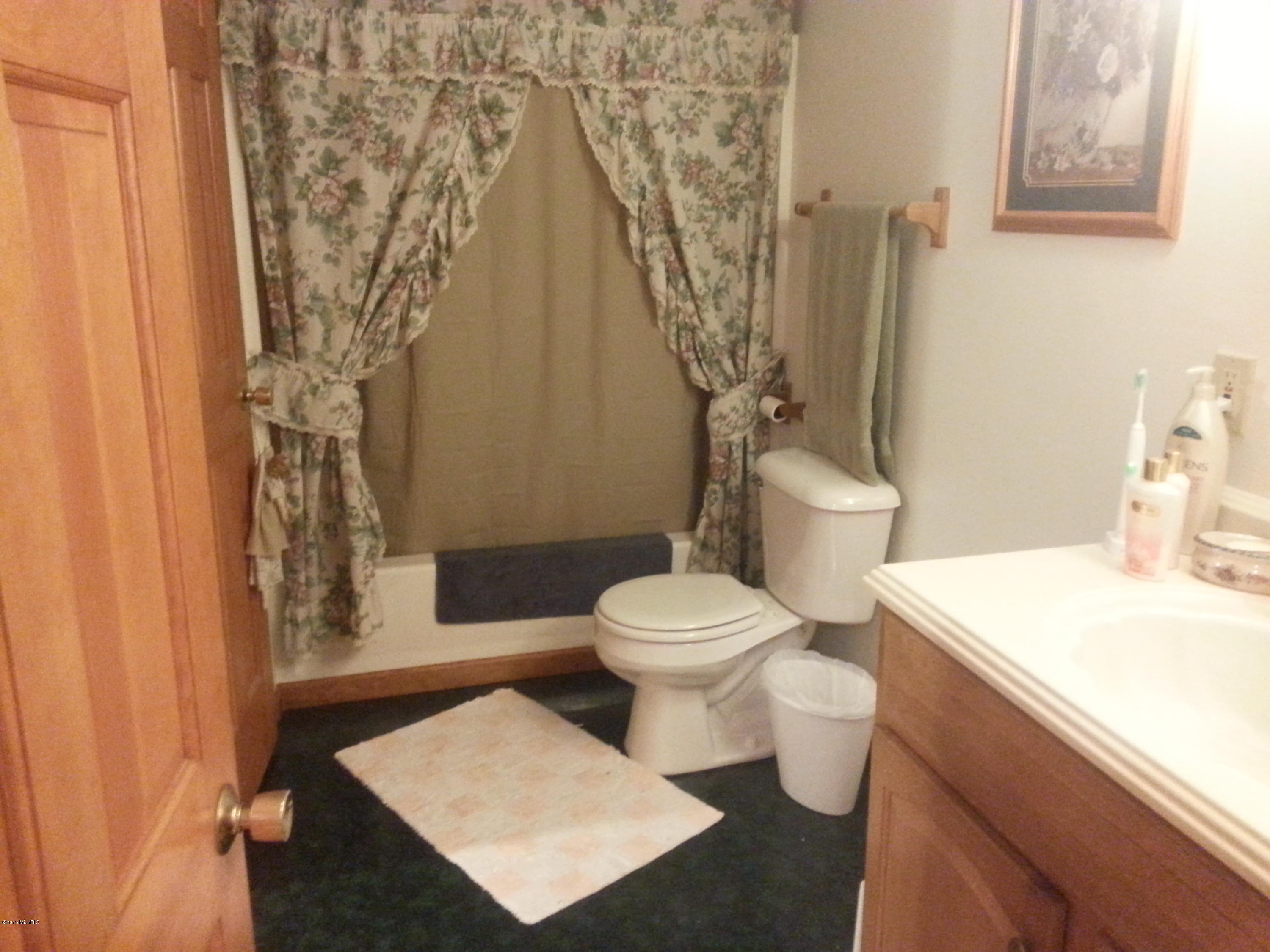 115 Kirby Road Mendon, MI 49072 - Photo 4 of 16 KirbyHomeLowerBathrm