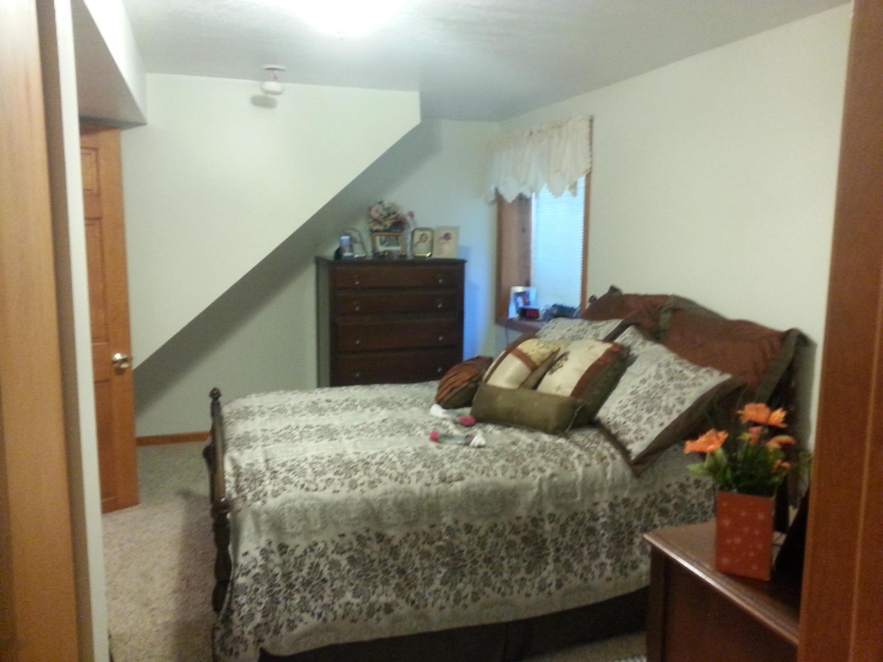 115 Kirby Road Mendon, MI 49072 - Photo 5 of 16 KirbyHomeLowerbreakoutwindow