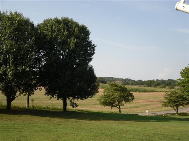 328 Seed Tick Road Sweetwater, TN 37874 - Photo 11 of 12 a view of lake with green space