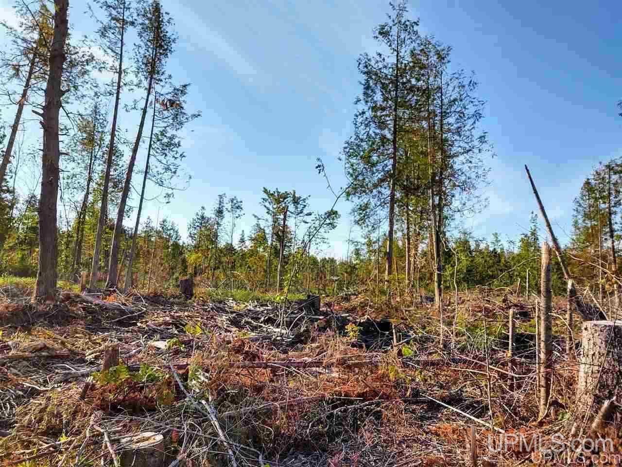 Tbd Off Arnheim Road Baraga, MI 49908 - Photo 18 of 28 Gallery Image 18