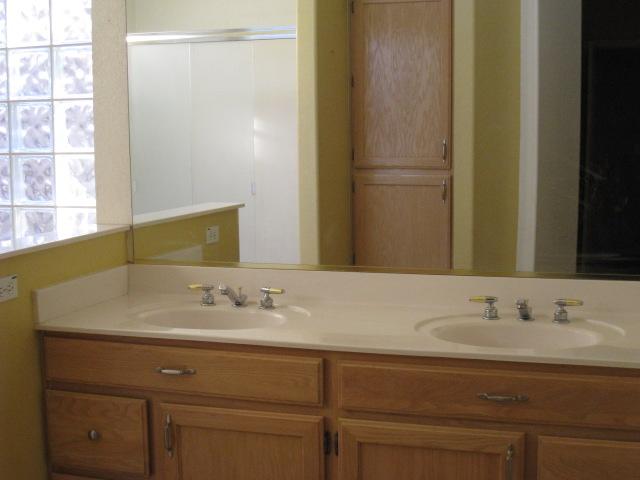 63 South Garnet Road Gilbert, AZ 85296 - Photo 7 of 9 Master Bath