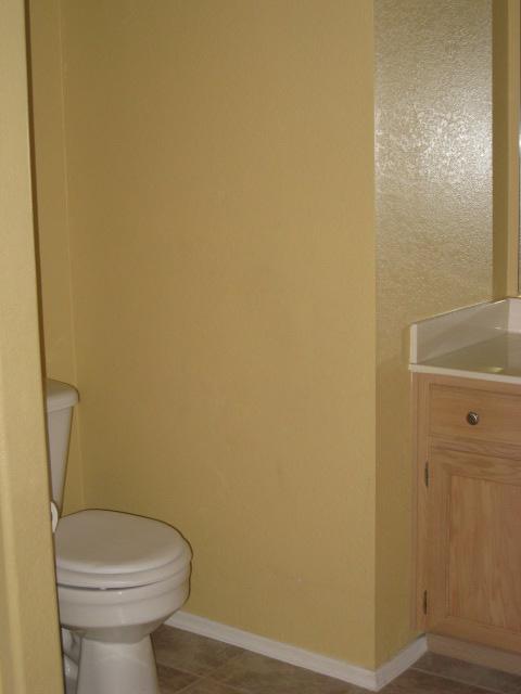 63 South Garnet Road Gilbert, AZ 85296 - Photo 9 of 9 Bathroom