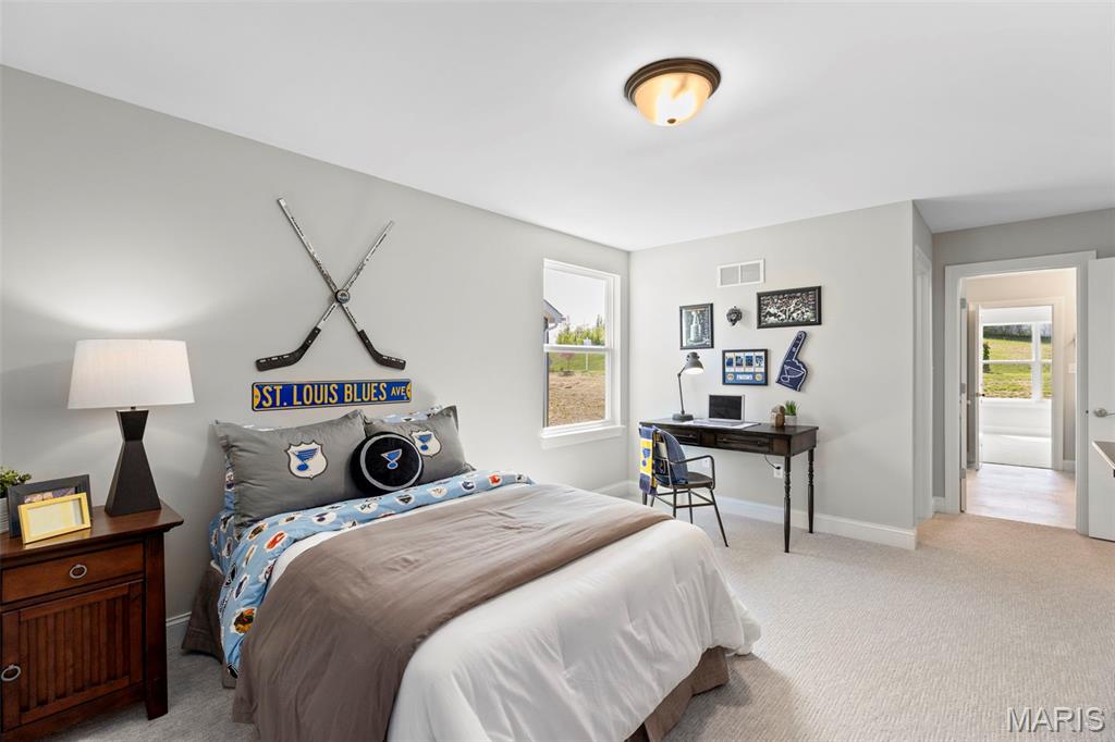 2 Pin Oak At Hawk Ridge Estate Lake Street Lake St. Louis, MO 63367 - Photo 30 of 35