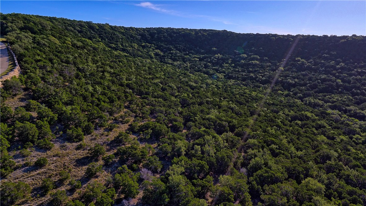 8267 Lime Creek Road Volente, TX 78641 - Photo 4 of 13 a view of a mountain in the distance in a field