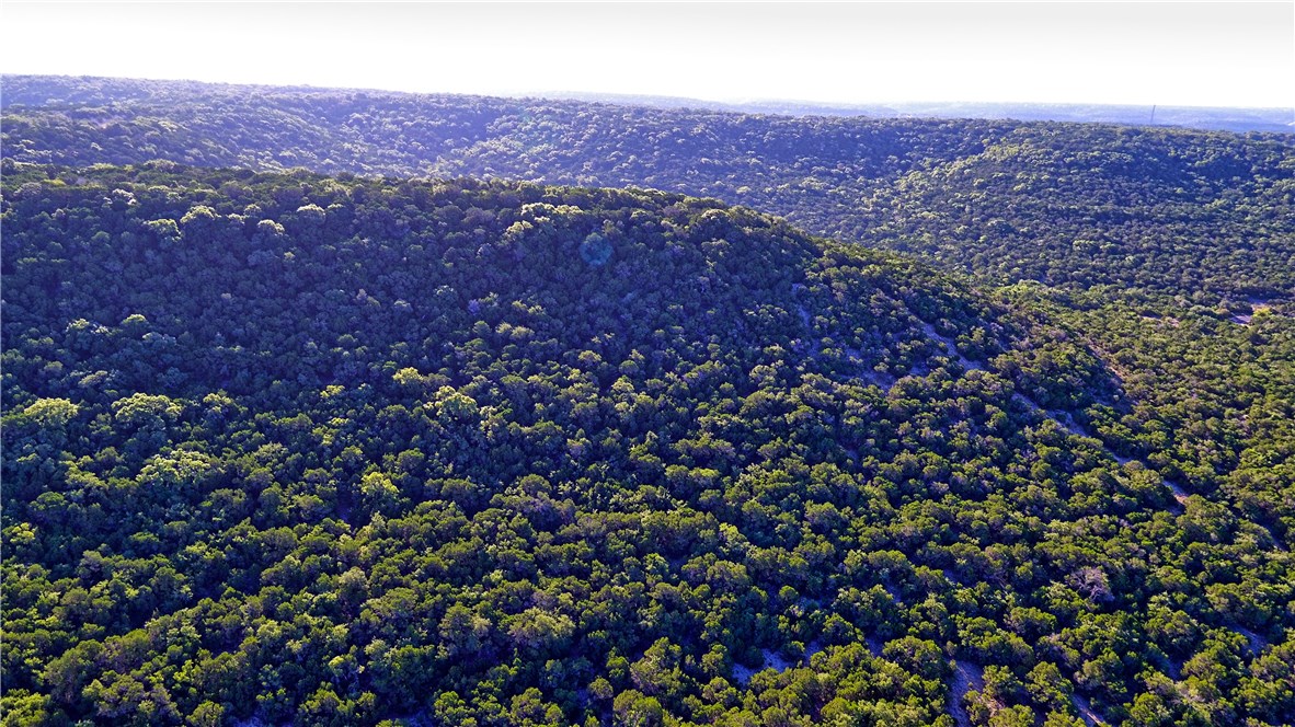 8267 Lime Creek Road Volente, TX 78641 - Photo 7 of 13 a view of city and mountain