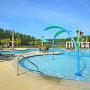 332 Beautyberry Road Summerville, SC 29486 - Photo 15 of 21 Professional pics of amenities-pic 2