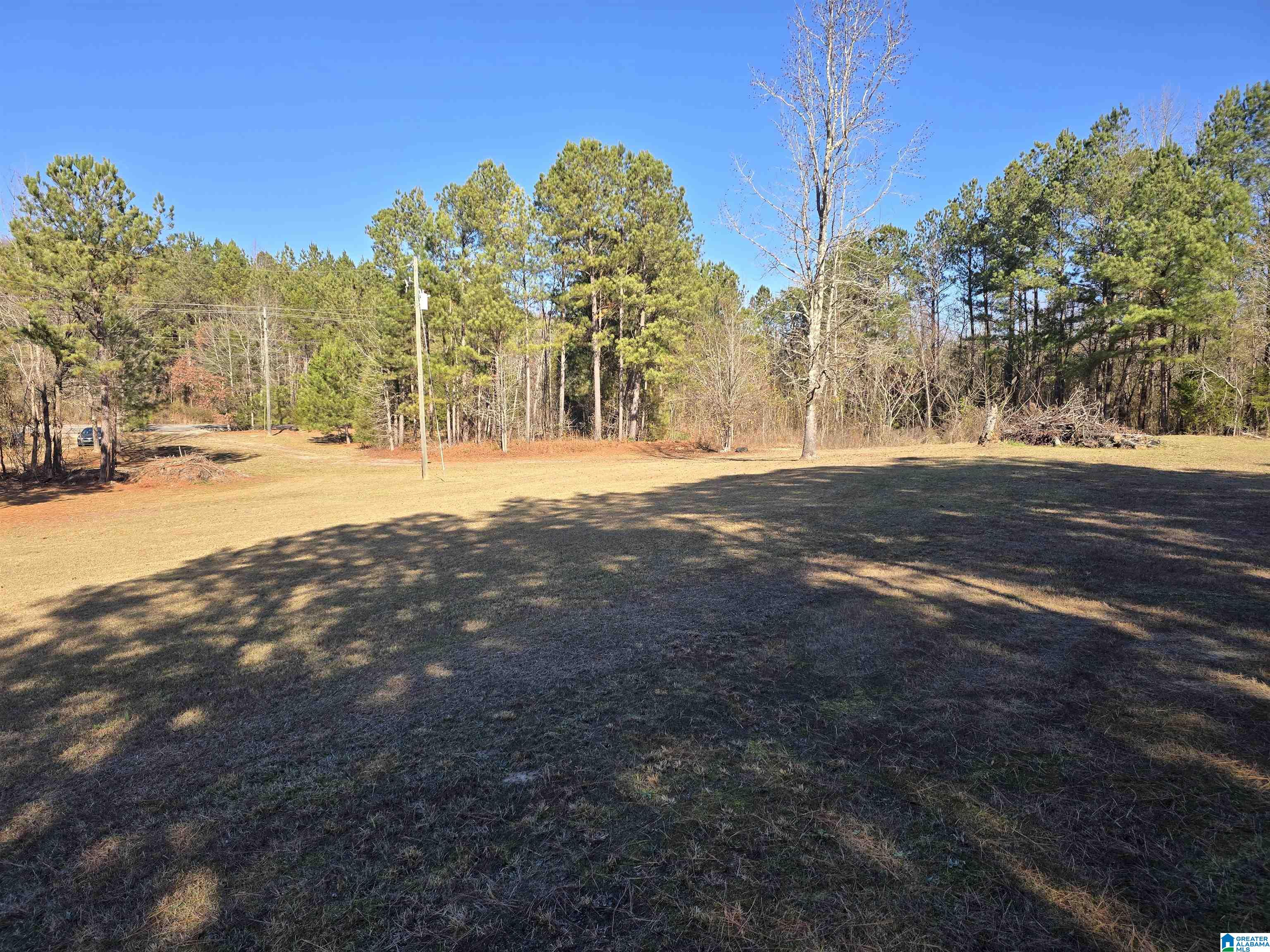 4850 Shoal Creek Road, Unit ACREAGE Ashville, AL 35953 - Photo 8 of 18