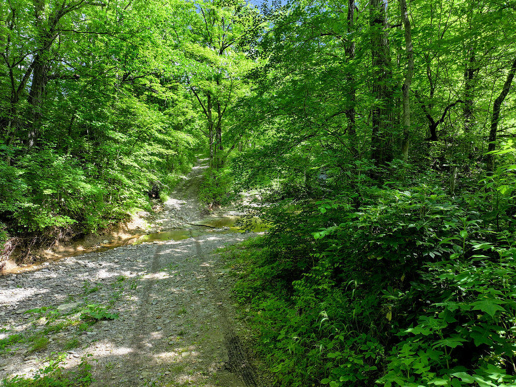 780 Stoney Run Road Richmond, KY 40475 - Photo 6 of 25 DJI_20250605105241_0139_D