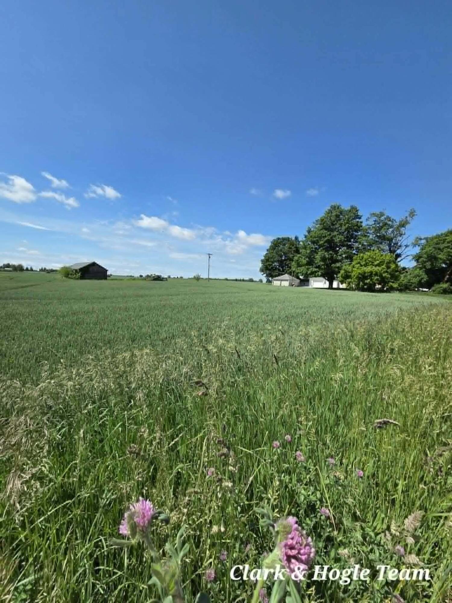 14675 West Hanses Road Westphalia, MI 48894 - Photo 22 of 46 download