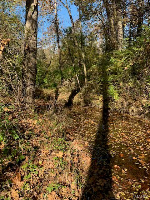 0 Walnut Woods Road Washington, MO 63090 - Photo 16 of 16