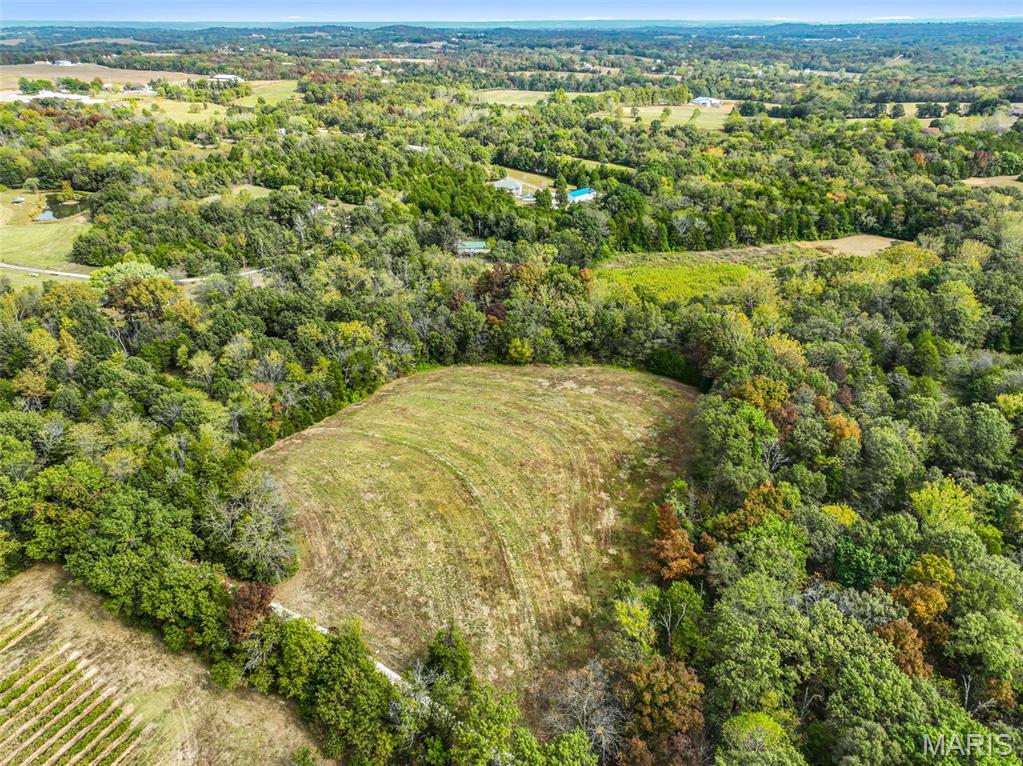 0 Walnut Woods Road Washington, MO 63090 - Photo 3 of 16