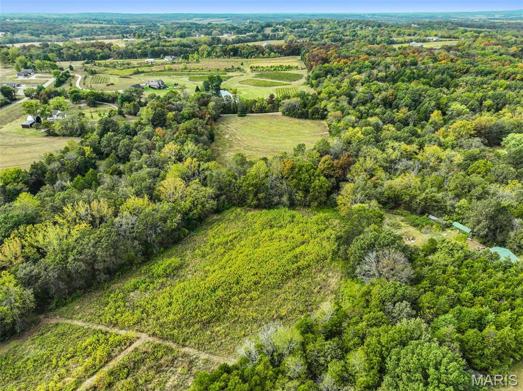 0 Walnut Woods Road Washington, MO 63090 - Photo 4 of 16