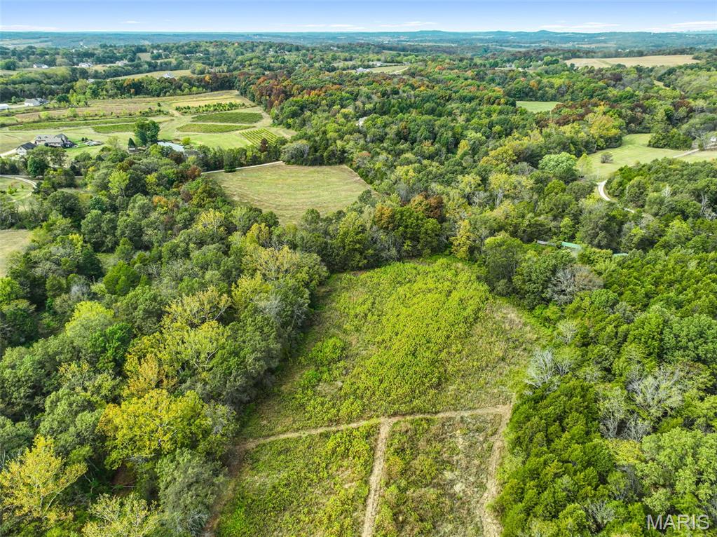 0 Walnut Woods Road Washington, MO 63090 - Photo 6 of 16