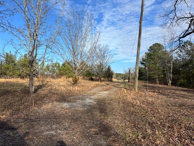 37 Davis Loop Kingston, GA 30145 - Photo 4 of 11