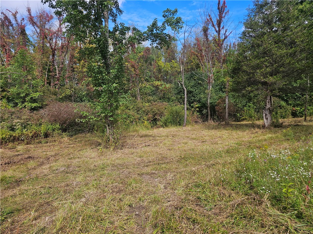 121 Buffalo Road Arcadia, NY 14513 - Photo 6 of 25 Gallery Image 6