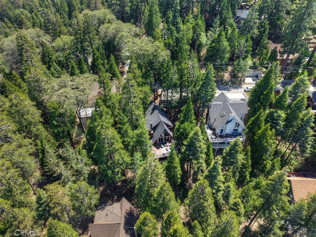 349 Castle Gate Road Lake Arrowhead, CA 92352 - Photo 67 of 73