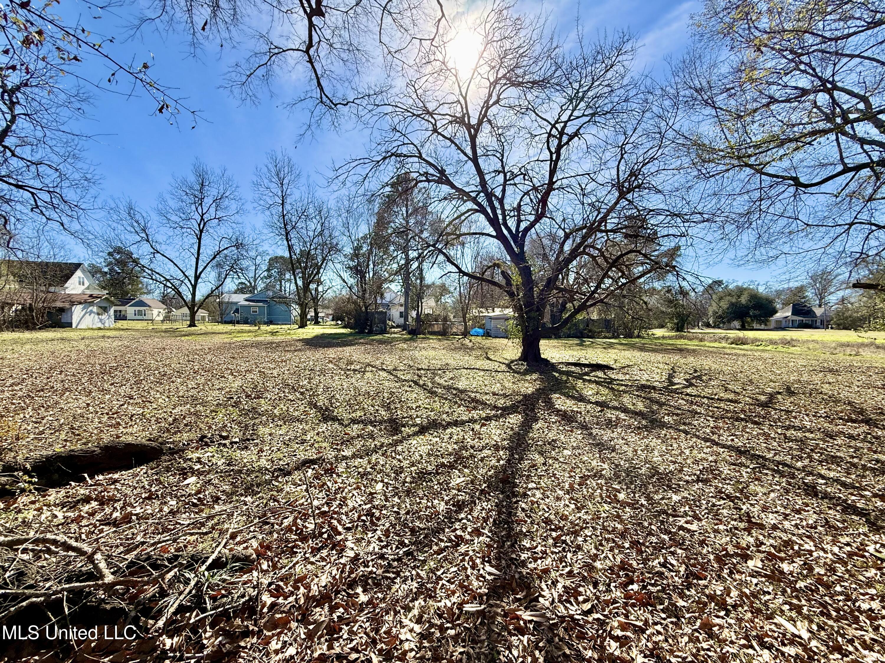 108 Lamar Street Crystal Springs, MS 39059 - Photo 33 of 36 IMG_9399