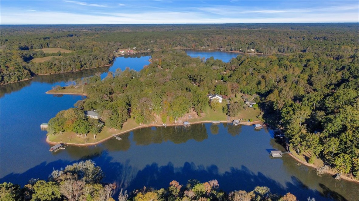 122 Latham Drive Anderson, SC 29621 - Photo 8 of 40 This aerial view showcases a peaceful lakefront setting with homes nestled among lush trees.
