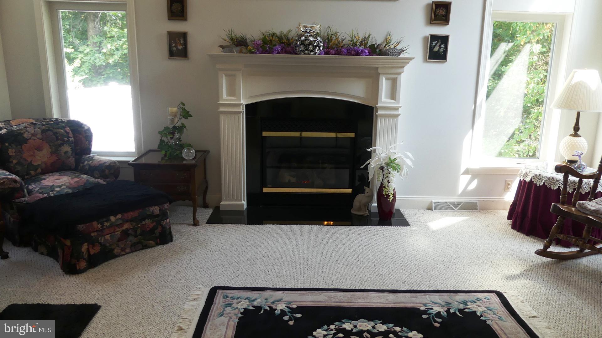 3700 Ridgewood Road York, PA 17406 - Photo 16 of 88 gas fireplace
