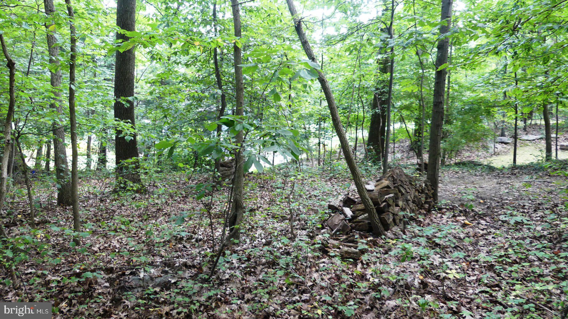 3700 Ridgewood Road York, PA 17406 - Photo 75 of 88 Gallery Image 75