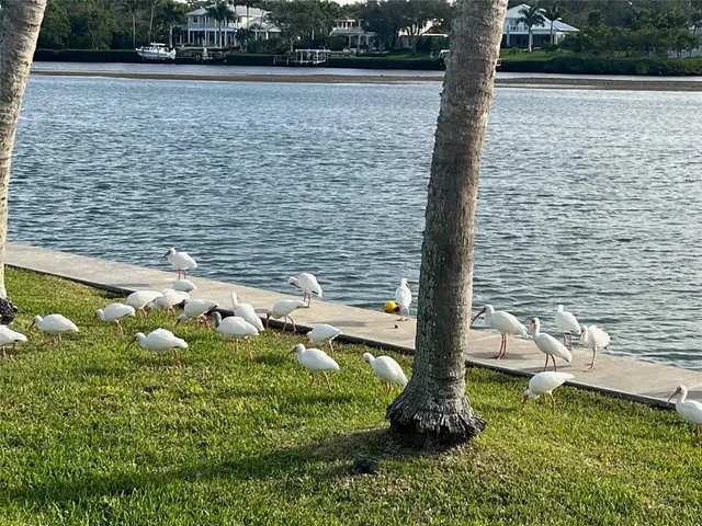 $3,379,000 | 929 Casey Cove Drive, Nokomis, FL 34275