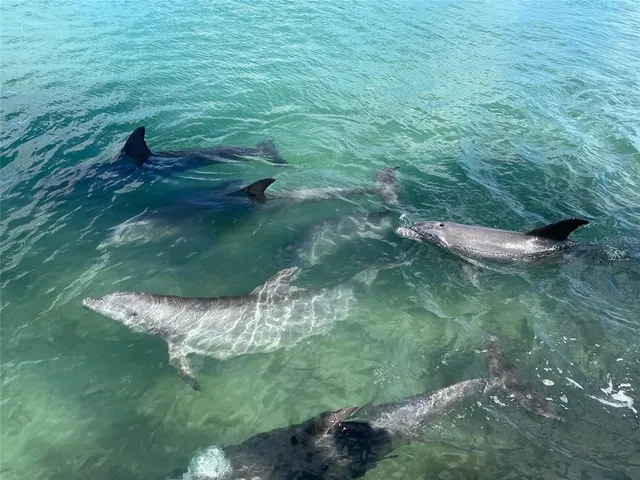 $3,379,000 | 929 Casey Cove Drive, Nokomis, FL 34275