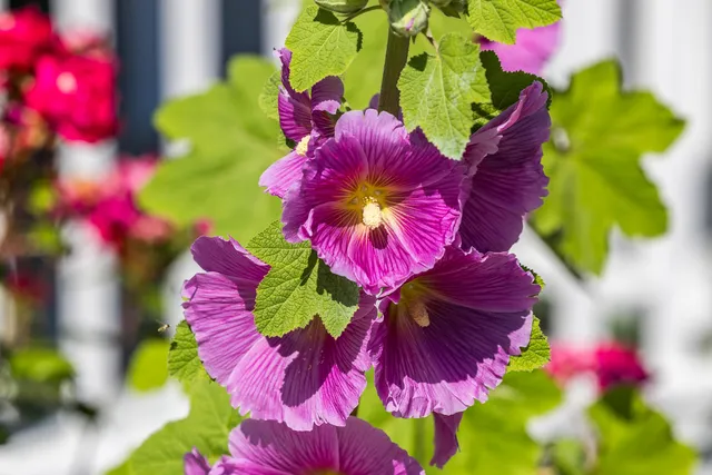 $739,000 | 99 Route 130, Forestdale, MA 02644