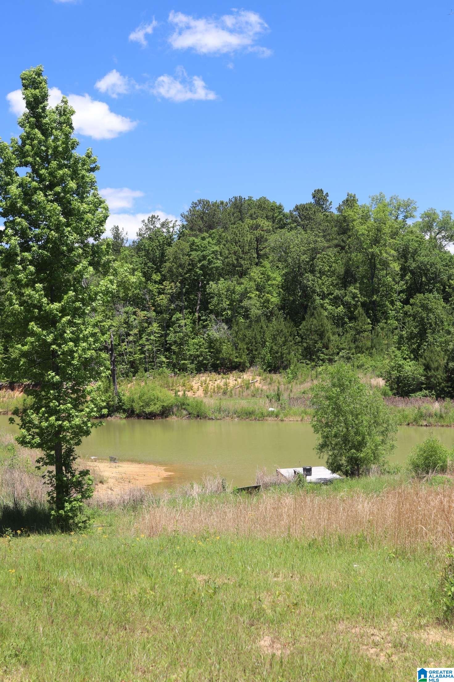 2930 Shocco Springs Road Talladega, AL 35160 - Photo 65 of 93