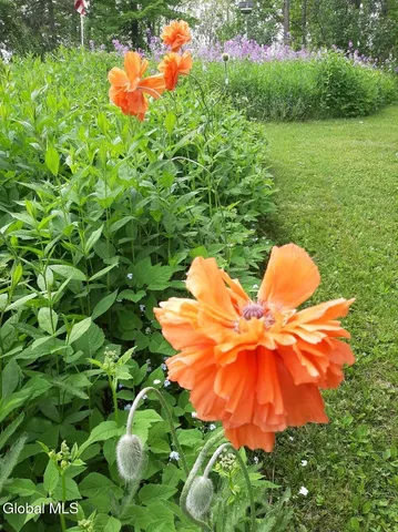 $333,333 | 261 Summit Street, Richmondville, NY 12149