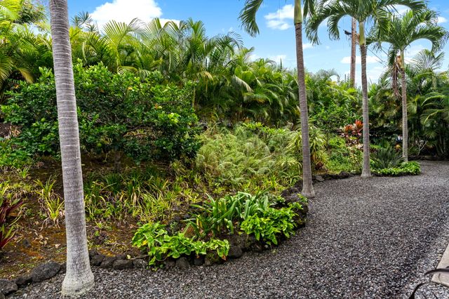 a view of a garden with plants