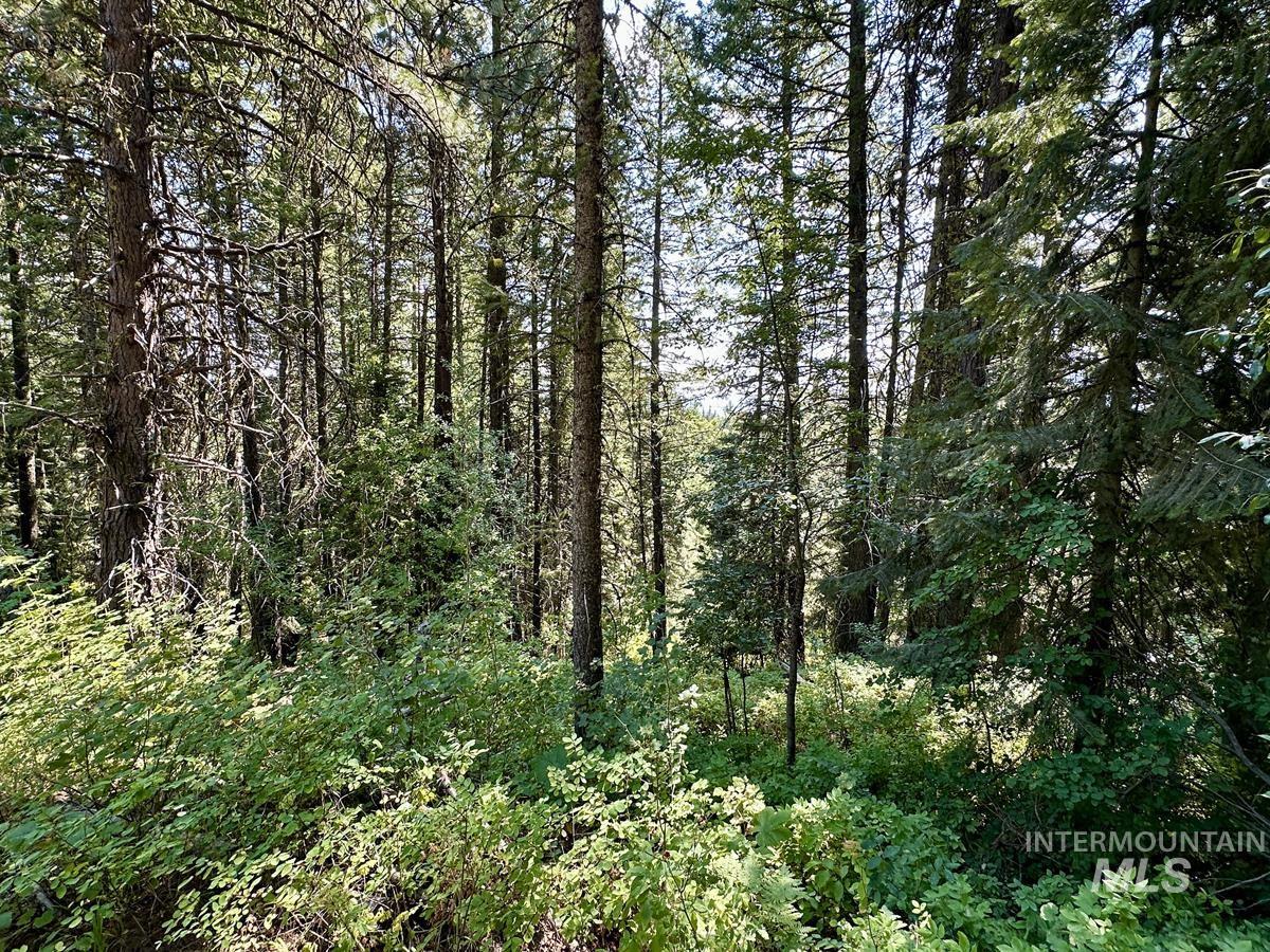 37 Arling Trail Cascade, ID 83611 - Photo 8 of 16 Perfect Blank Canvas