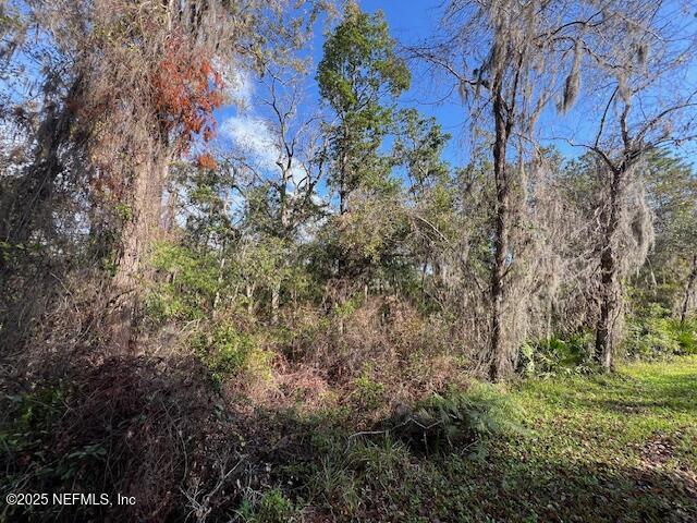 95001 Dirt Road Fernandina Beach, FL 32034 - Photo 3 of 9 IMG_3913