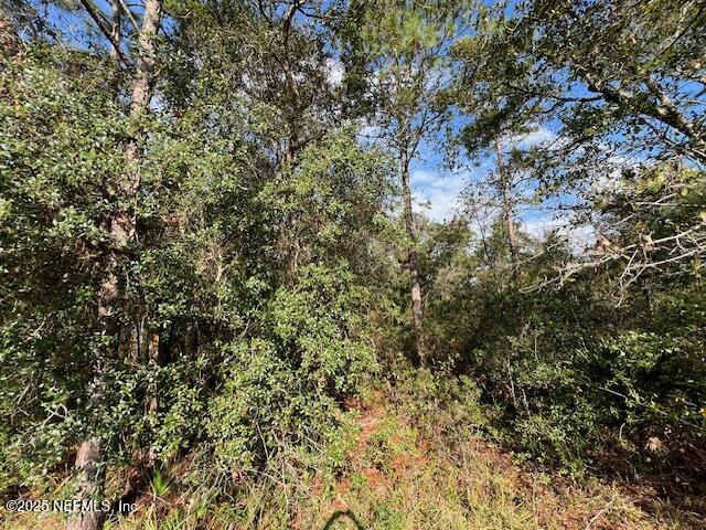 95001 Dirt Road Fernandina Beach, FL 32034 - Photo 5 of 9 IMG_3918