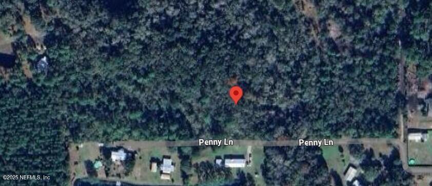 95001 Dirt Road Fernandina Beach, FL 32034 - Photo 7 of 9 Penny Lane Aerial