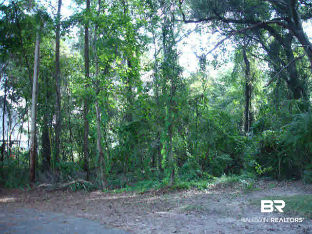 0 Franklin Road Foley, AL 36535 - Photo 10 of 18