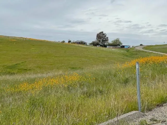 a view of an ocean and beach
