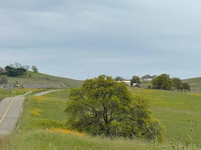 a view of lake and mountain