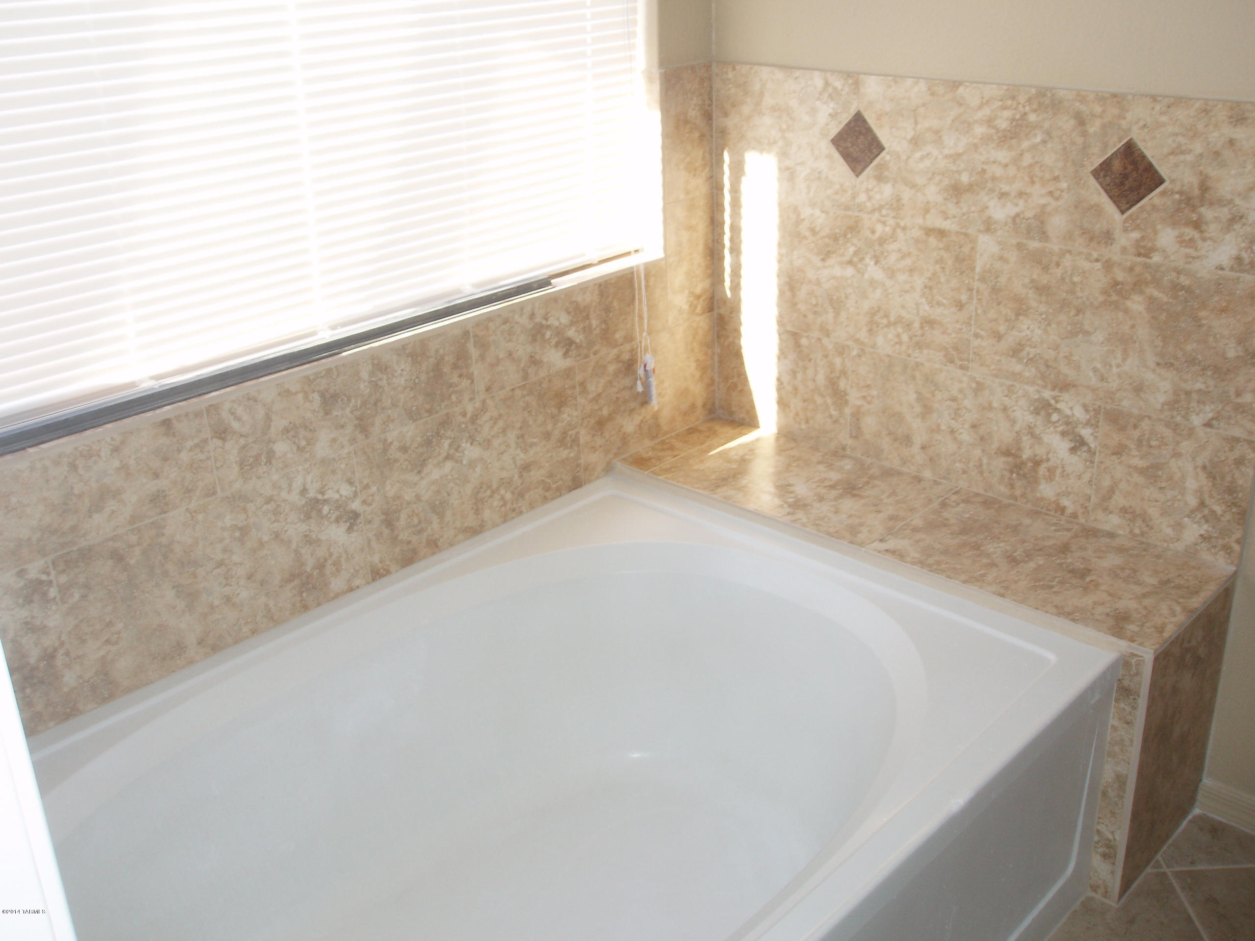 5248 West Bobwhite Way Tucson, AZ 85742 - Photo 11 of 23