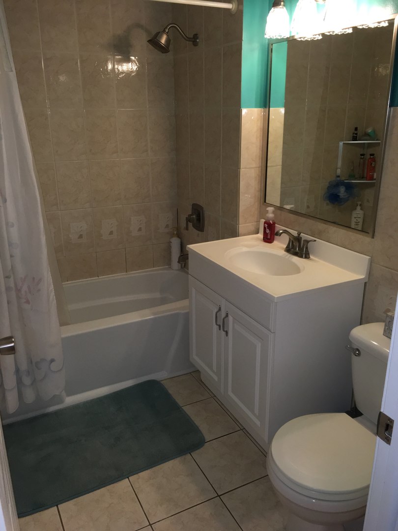 708 Dempster Street, Unit F202 Mount Prospect, IL 60056 - Photo 12 of 14 a bathroom with a sink a toilet and shower