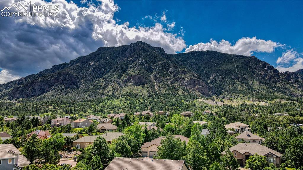6205 Colfax Terrace Colorado Springs, CO 80906 - Photo 42 of 43 a view of a flower in a garden