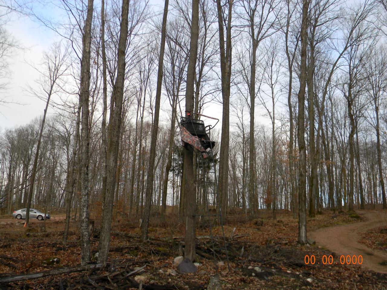 N7403 Begin Road Deerbrook, WI 54424 - Photo 28 of 66 Gallery Image 28