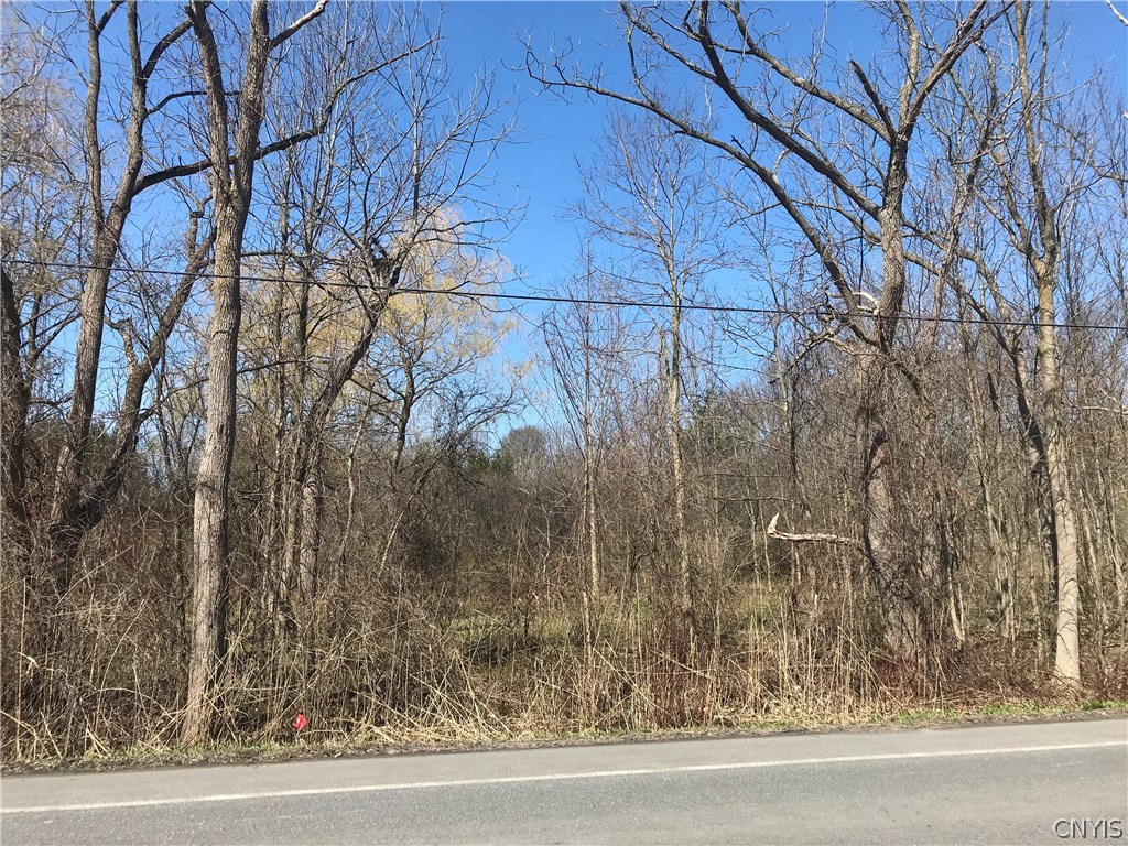 4857 Limeledge Road Marcellus, NY 13108 - Photo 1 of 1