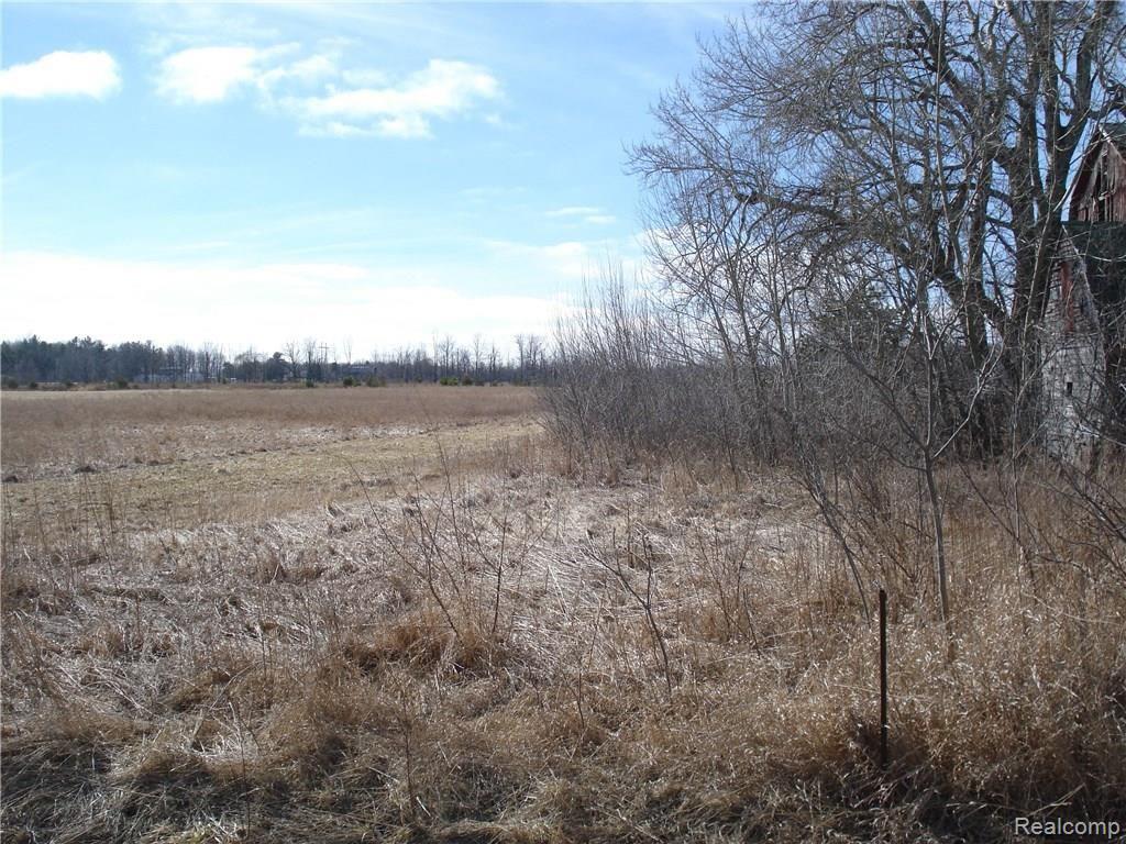 V/l V/l Wildcat Road Jeddo, MI 48032 - Photo 3 of 5
