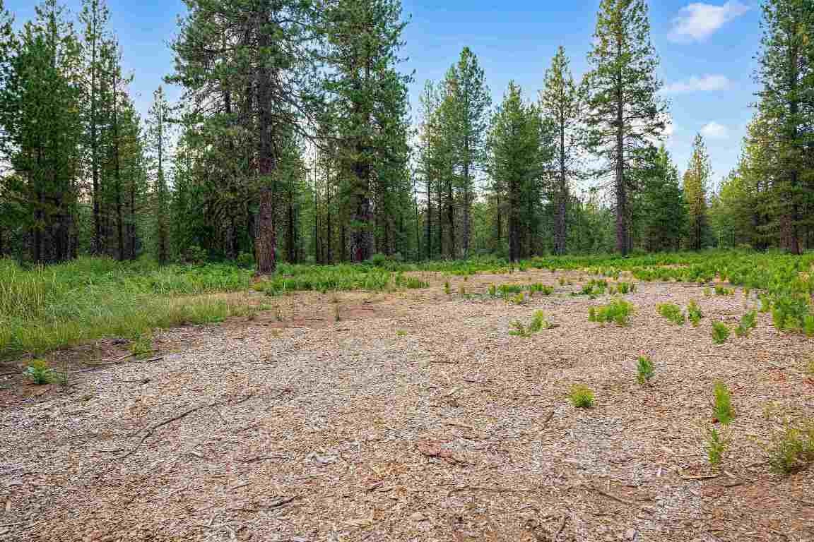 Lot A Timber Country Ranch Road McCloud, CA 96057 - Photo 2 of 18 Gallery Image 2