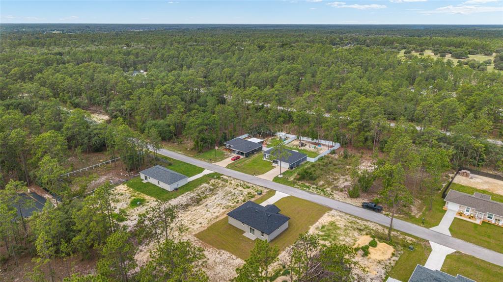 427 Alvarez Road Dunnellon, FL 34431 - Photo 7 of 51