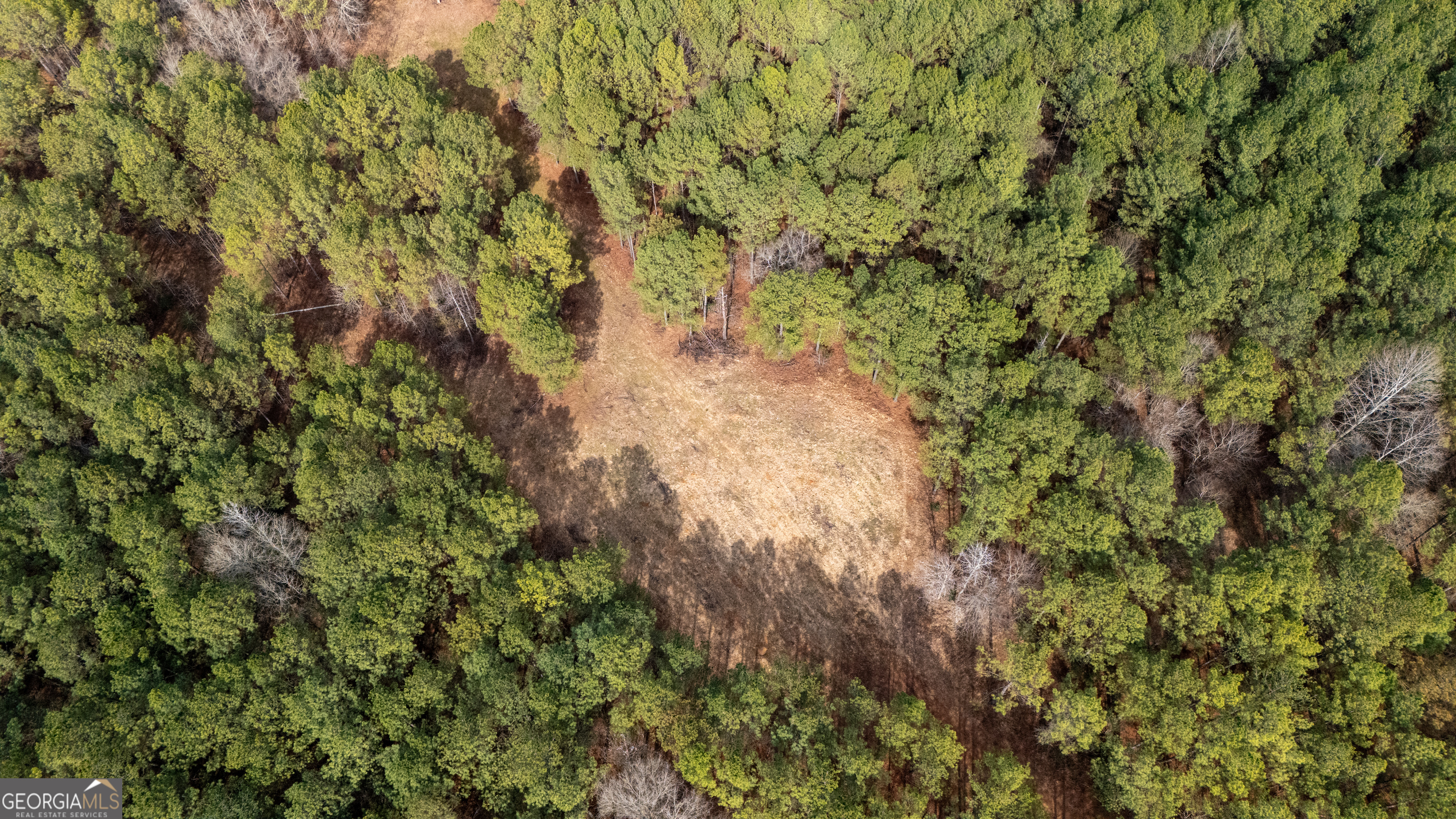 0 Keith Road Hogansville, GA 30230 - Photo 11 of 41